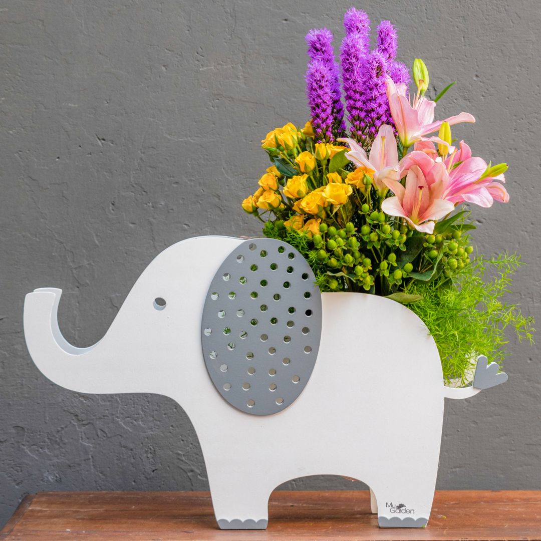 Elefante Velador