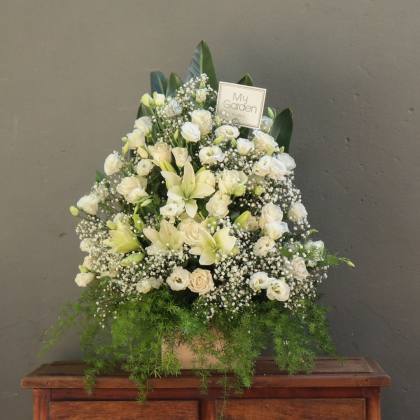Palma Floral