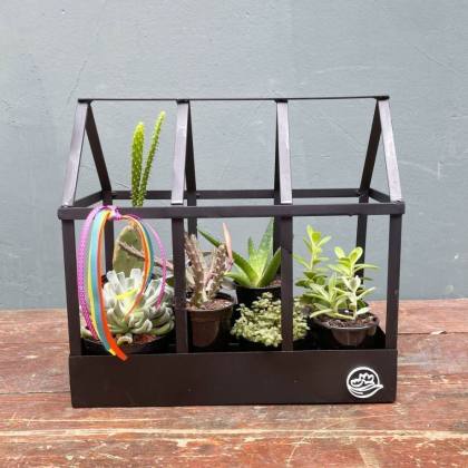 GREENHOUSE